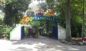 Idée de sortie en Famille, visite animaux, spectacle, tigres, lion, gorilles : Le Zoo d'Amnéville