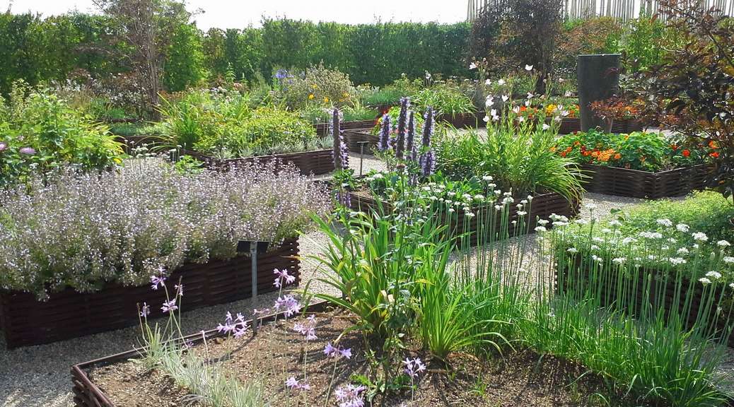 Venez admirer les belles plantes aux jardins fruitiers de Laquenexy à une demi heure d'Amnéville