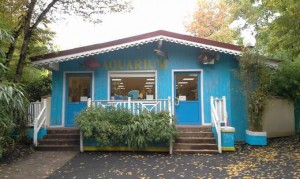 Entrée de l'Aquarium Amnéville. Situé à coté de Atomic Bowl