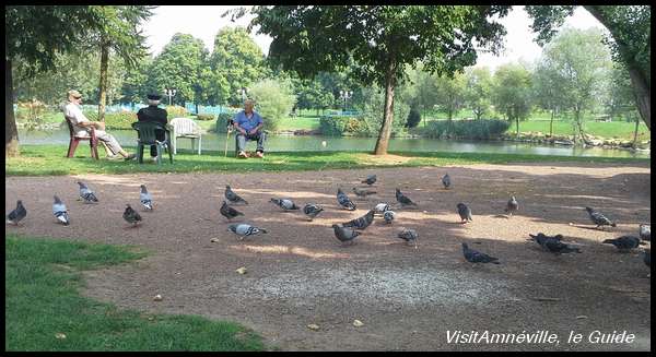 etang-ballastiere-oiseaux-lpo-hagondange