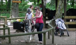 Promenade à poneys, Activités pour les enfants à Amnéville