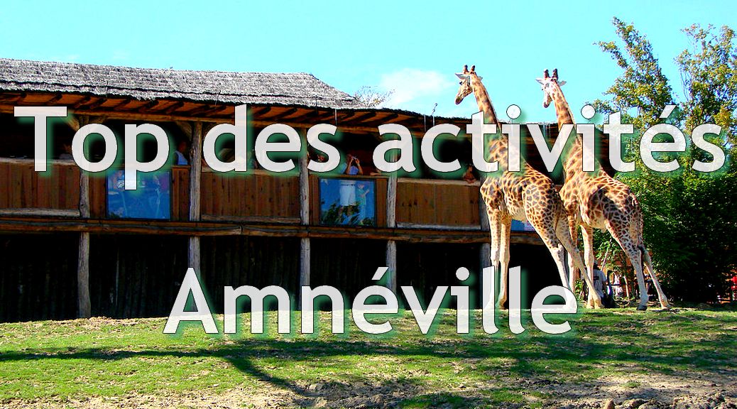 Zoo, ski, thermalisme, concerts, animations, casino... découvrez le top des activités d'Amnéville